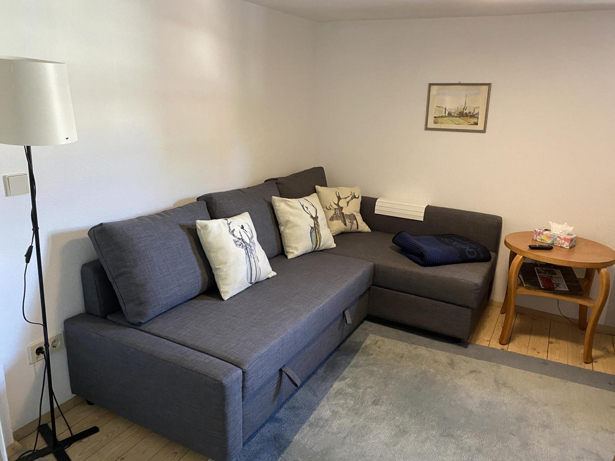 Ferienwohnung Sester Gengenbach Extérieur photo